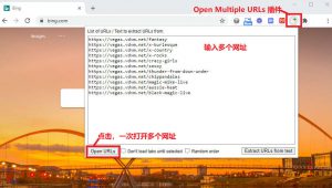Open Multiple URLs插件